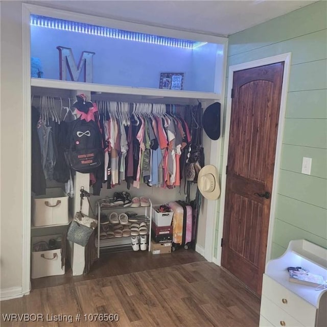 view of closet