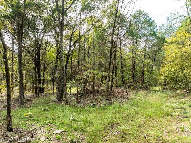 Listing photo 3 for TBD Dry Hill Loop, Chester AR 72934