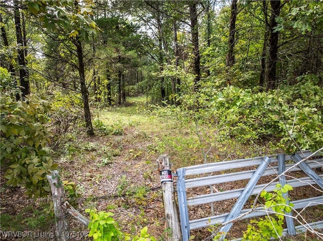 Listing photo 3 for TBD Dry Hill Loop, Chester AR 72934