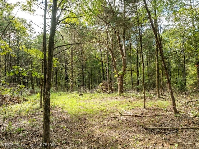 TBD Dry Hill Loop, Chester AR, 72934 land for sale