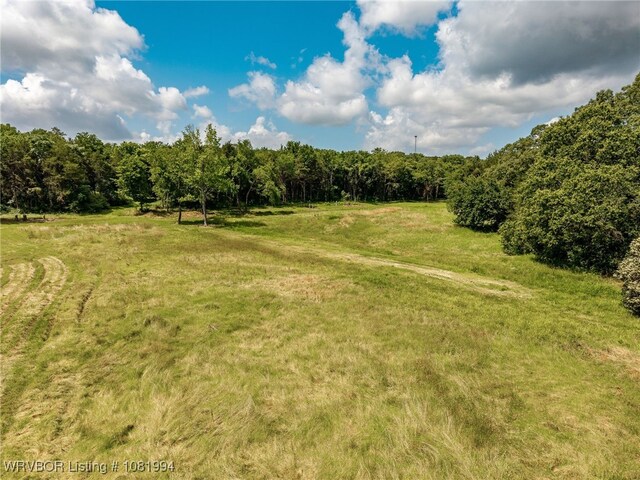 TBD N Wilson, Ratcliff, AR 72951 - photo 10