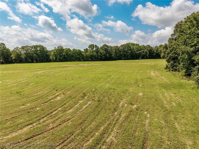 TBD N Wilson, Ratcliff, AR 72951 - photo 8
