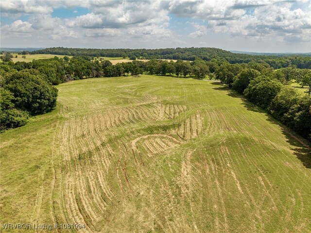 TBD N Wilson, Ratcliff, AR 72951 - photo 11
