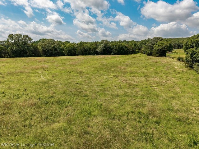 TBD N Wilson, Ratcliff, AR 72951 - photo 12