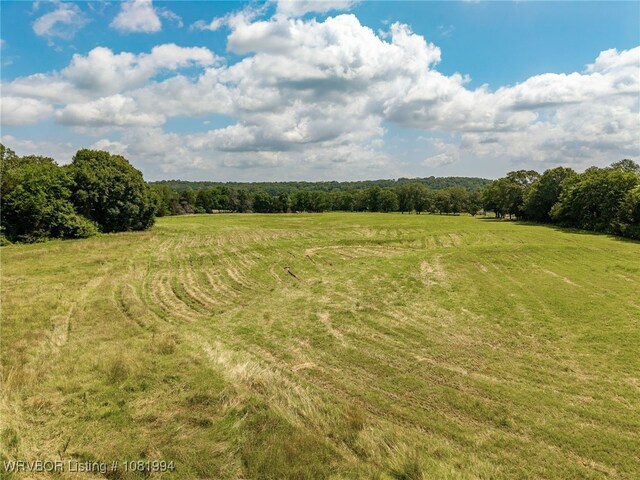 TBD N Wilson, Ratcliff, AR 72951 - photo 9