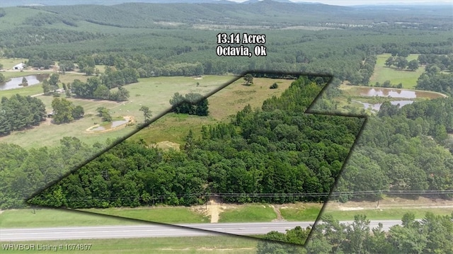 13AC US Highway 259, Smithville, OK 74957 - photo 1