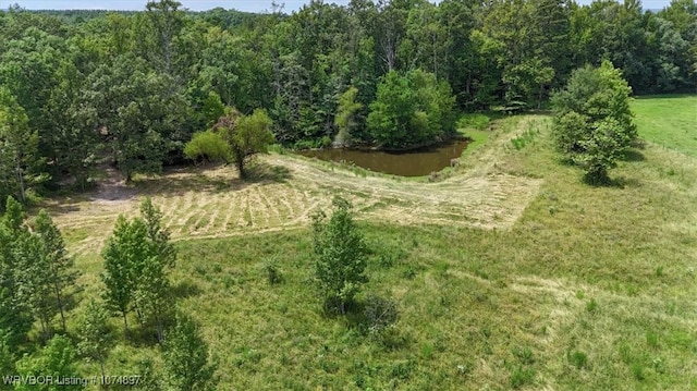 13AC US Highway 259, Smithville, OK 74957 - photo 33