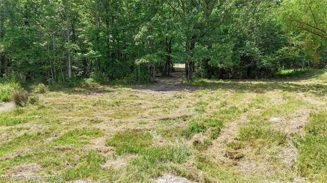 13AC US Highway 259, Smithville, OK 74957 - photo 32