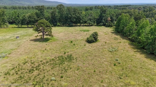 13AC US Highway 259, Smithville, OK 74957 - photo 28