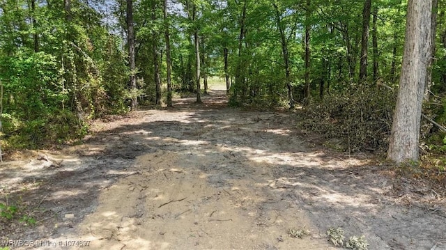 13AC US Highway 259, Smithville, OK 74957 - photo 6