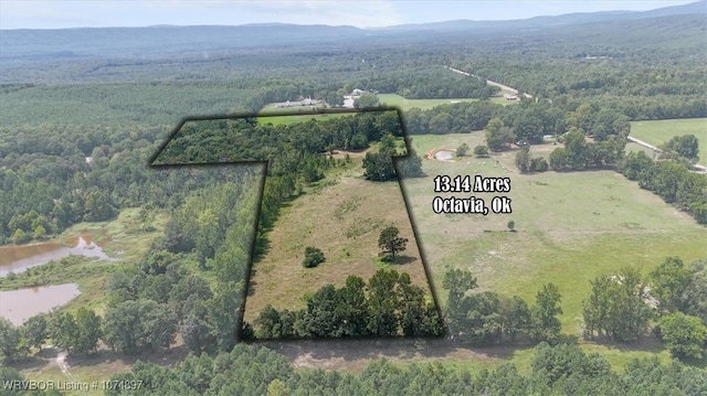 13AC US Highway 259, Smithville, OK 74957 - photo 2