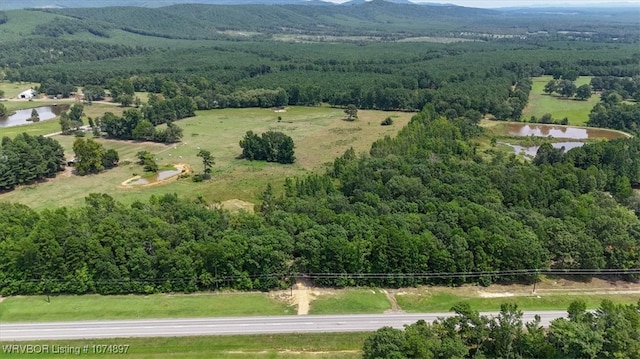 13AC US Highway 259, Smithville, OK 74957 - photo 21