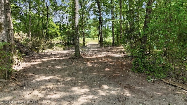 13AC US Highway 259, Smithville, OK 74957 - photo 9