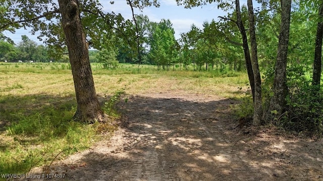13AC US Highway 259, Smithville, OK 74957 - photo 12