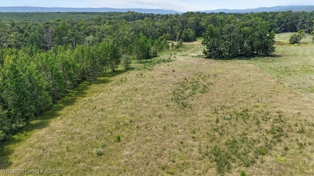 13AC US Highway 259, Smithville, OK 74957 - photo 27