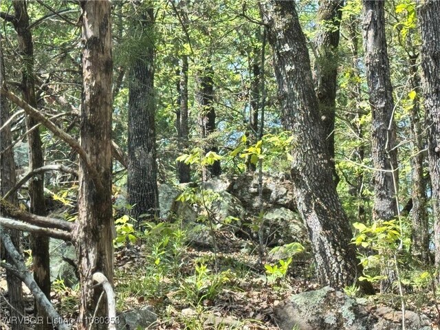 6538 110th Rd, Red Oak, OK 74563 - view of local wilderness featuring a view of trees