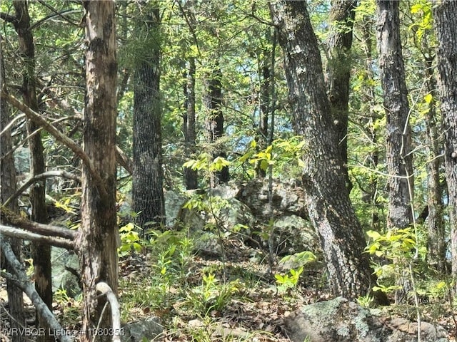 6538 110th Rd, Red Oak, OK 74563 - view of local wilderness featuring a view of trees
