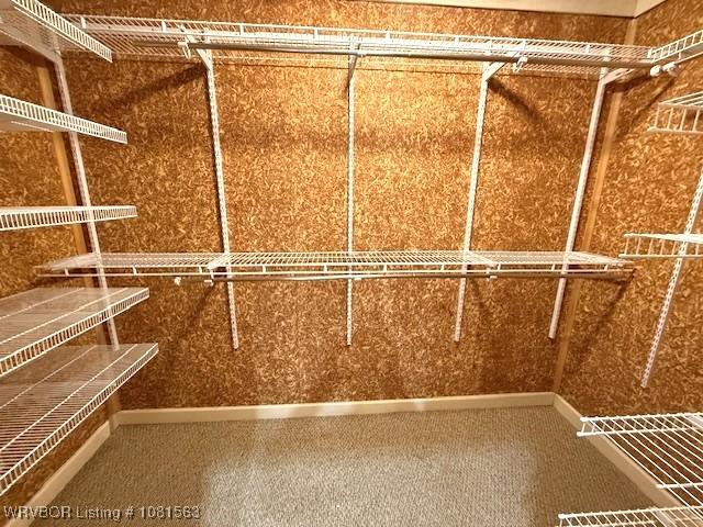 1434 W College St, Ozark, AR 72949 - view of walk in closet