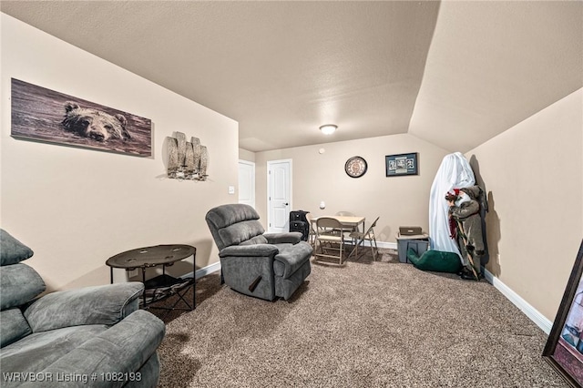 479872 E 1080th Rd, Muldrow, OK 74948 - living room featuring carpet flooring and lofted ceiling