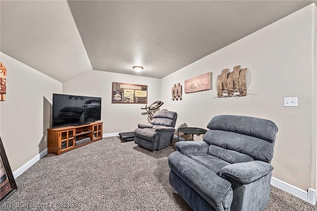 479872 E 1080th Rd, Muldrow, OK 74948 - carpeted living room with lofted ceiling and a textured ceiling