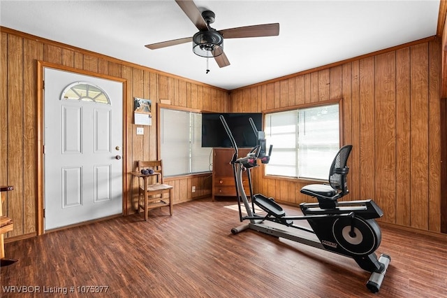 exercise room with hardwood / wood-style flooring, ceiling fan, and wooden walls