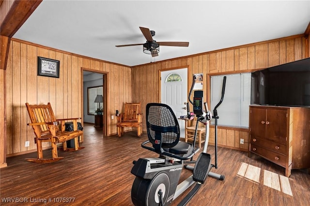 exercise area with ceiling fan and dark wood-type flooring