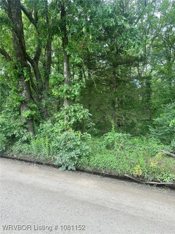 TBD Lamb Rd, Alma, AR 72921 - photo 4