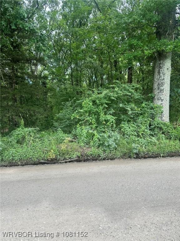 TBD Lamb Rd, Alma, AR 72921 - photo 2