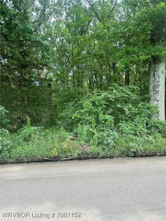 TBD Lamb Rd, Alma, AR 72921 - photo 3