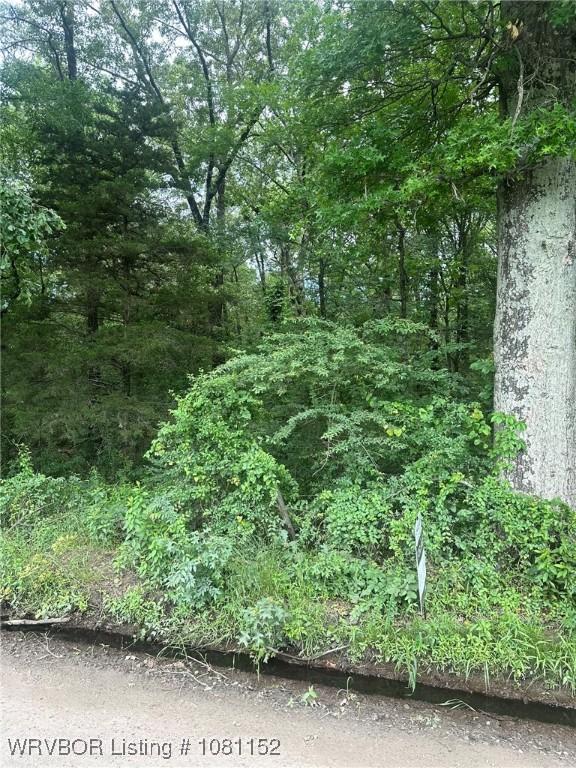 TBD Lamb Rd, Alma, AR 72921 - photo 5
