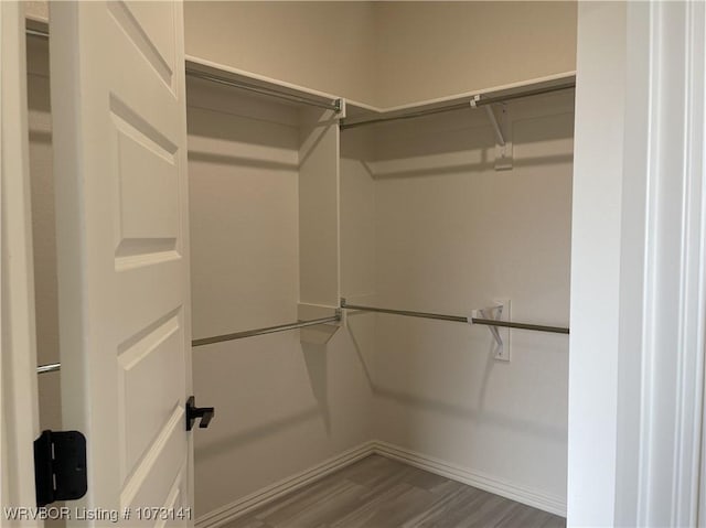 spacious closet featuring wood-type flooring