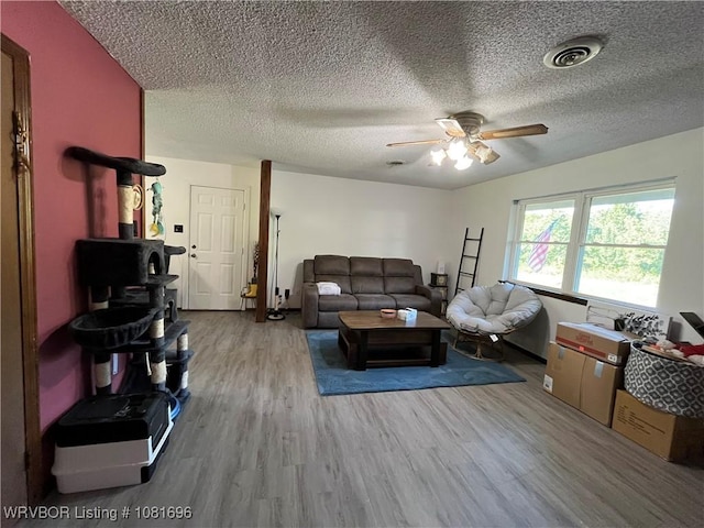 13824 Grober Hill Way, Fort Smith, AR 72916 - living area with ceiling fan, wood finished floors, and a textured ceiling