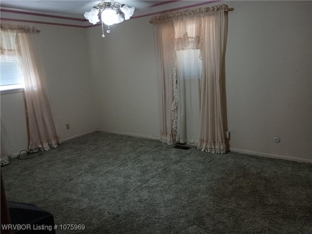 spare room with carpet floors