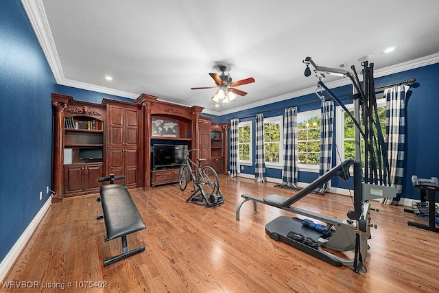 exercise area with ceiling fan, crown molding, and light wood-type flooring