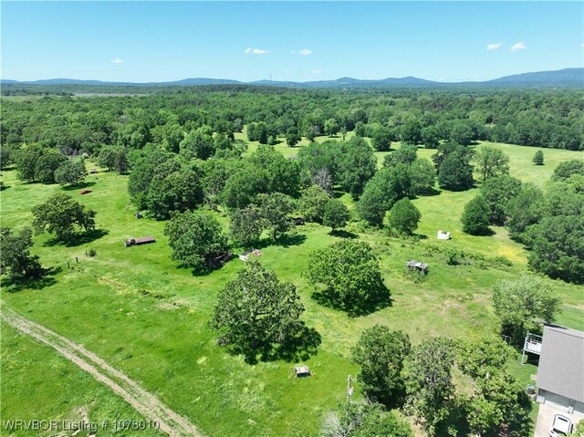 25096 Nobles Rd, Howe, OK 74940 - photo 37