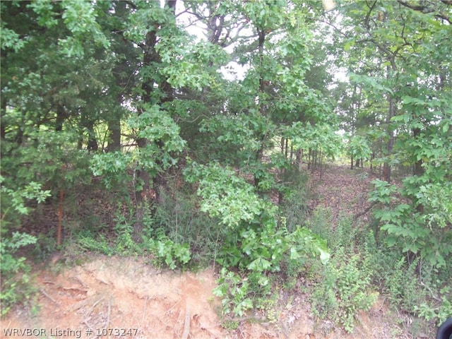 TBDWestViewRoad W View, Ozark AR, 72949 land for sale