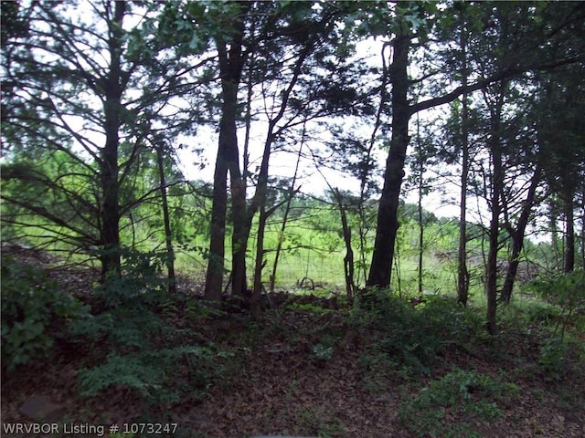 Listing photo 3 for TBDWestViewRoad W View, Ozark AR 72949