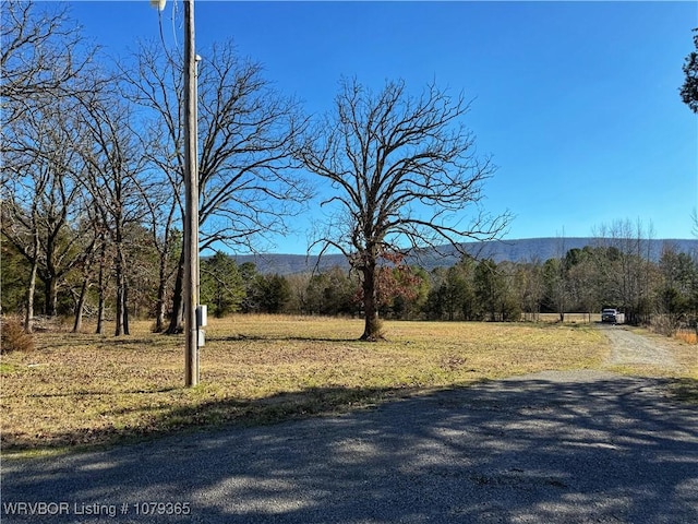 view of street with a wooded view