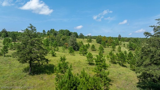 5500 Tate Rd, Booneville, AR 72927 - photo 10