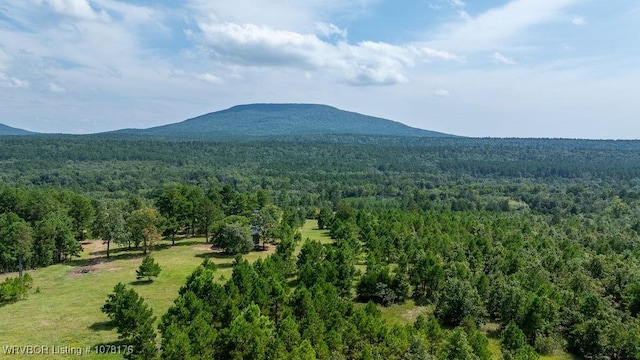5500 Tate Rd, Booneville, AR 72927 - photo 23