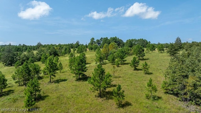 5500 Tate Rd, Booneville, AR 72927 - photo 19