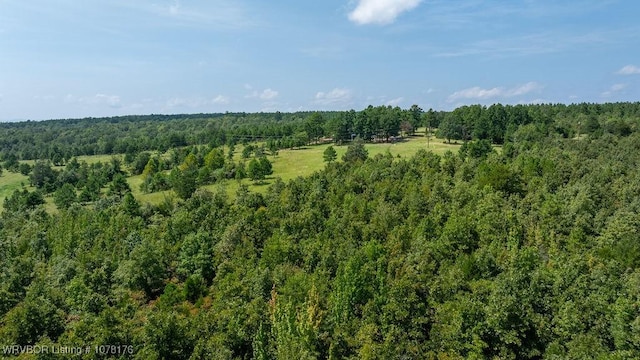 5500 Tate Rd, Booneville, AR 72927 - photo 20