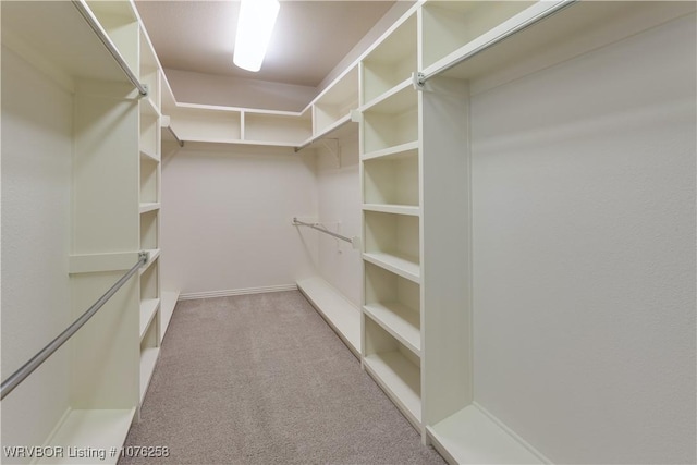 spacious closet featuring light colored carpet