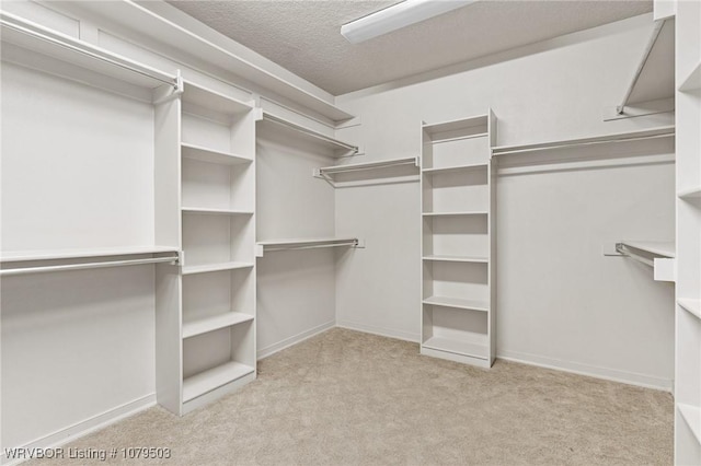 spacious closet featuring carpet