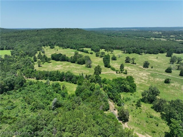 29477 360th Ave, Mccurtain, OK 74944 - bird's eye view of a forest