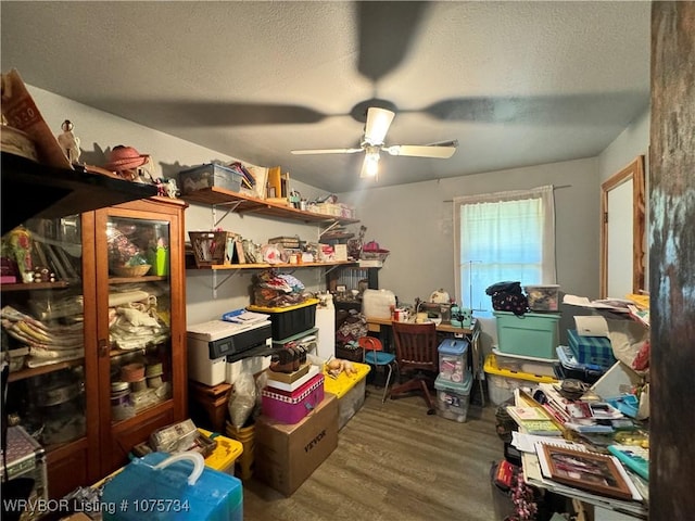 storage area featuring ceiling fan