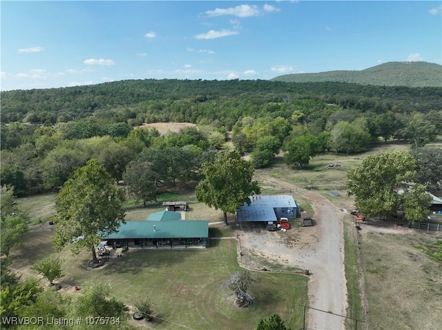 birds eye view of property featuring a mountain view