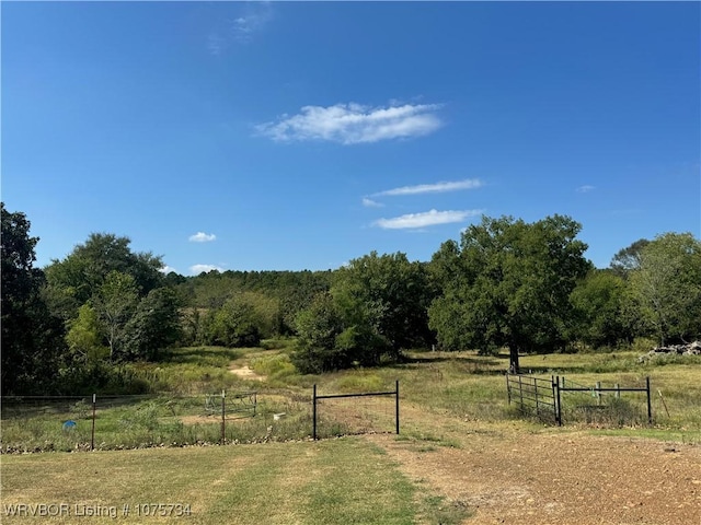 view of yard with a rural view