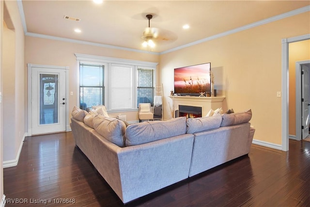 living room featuring ceiling fan, dark hardwood / wood-style flooring, and crown molding