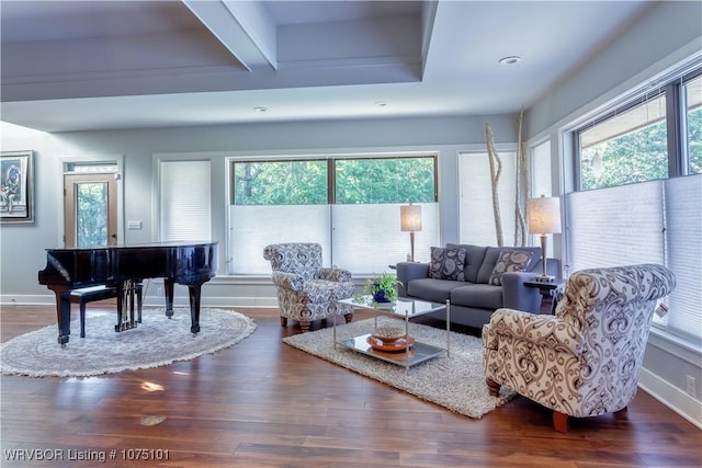 4001 Spring Mountain Rd, Fort Smith, AR 72916 - living room with a wealth of natural light and dark wood-type flooring